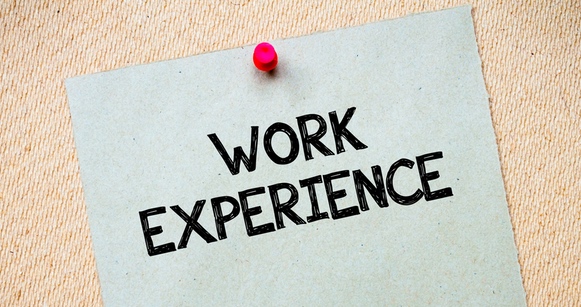 Professional Experience